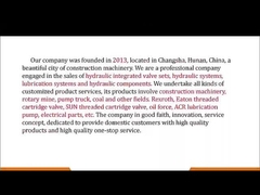 VBCD.3-8 DE-FL Sany Parti di pompe per calcestruzzo Valvola di bilanciamento regolabile per una distribuzione ottimale del flusso